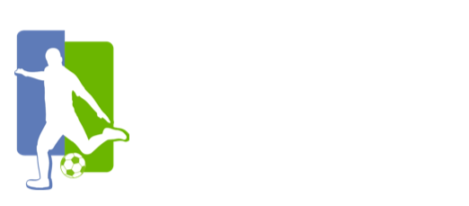 球条